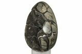 8.4" Septarian "Dragon Egg" Geode - Black Crystals - #202556-2